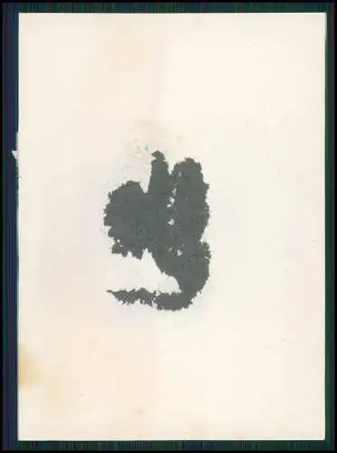 13x Foto feiner Herr lächelnd gut aussehend Portrait 1925-30