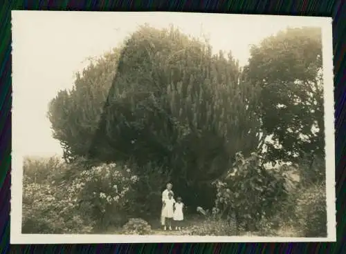 14x Foto deutsche Einwanderer Umzimkhulu KwaZulu-Natal in Südafrika 1934