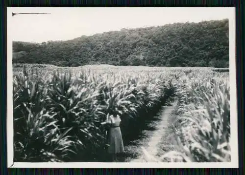 19x Foto deutsche Familie Port Shepstone Südküste KwaZulu-Natals Südafrika 1934