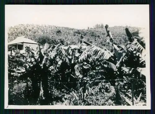 19x Foto deutsche Familie Port Shepstone Südküste KwaZulu-Natals Südafrika 1934