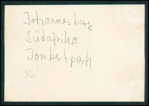 9x Foto deutsche Familie Johannesburg Südafrika 1935