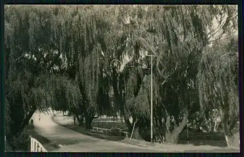 5x Foto Hartbeespoort-Stausee Talsperre in Südafrika Pretoria Johannesburg 1933