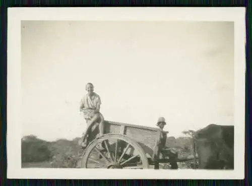 19x Foto deutsche Familie in Johannesburg Südafrika - diverese Ansichten 1932-33