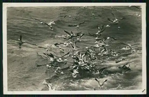 6x Foto Reise mit Passagierschiff Dampfer Wangoni Woermann Linie 1935