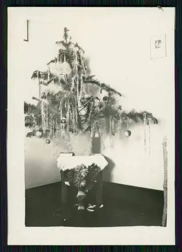 20x Foto deutsche Familie unser Leben in Johannesburg Südafrika 1933