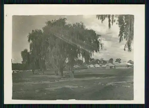 20x Foto deutsche Familie unser Leben in Johannesburg Südafrika 1933