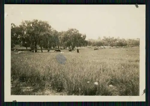 20x Foto deutsche Familie unser Leben in Johannesburg Südafrika 1933