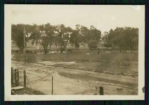 20x Foto deutsche Familie unser Leben in Johannesburg Südafrika 1933
