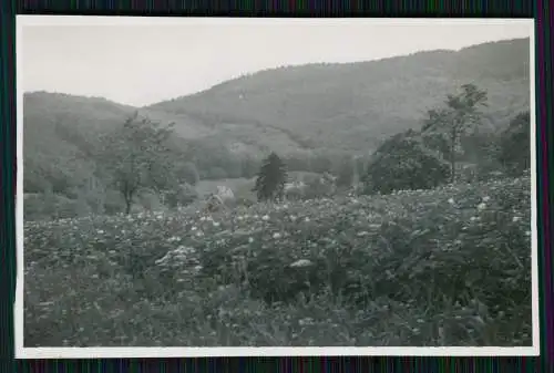 18x Foto Badenweiler im Kreis Breisgau Hochschwarzwald - Ansichten 1936-40
