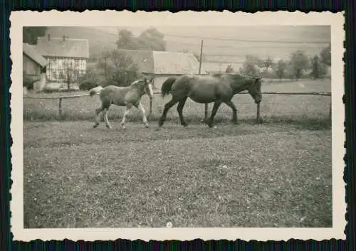 21x Foto - Ort im Sauerland, deutsche Mittelgebirgsregion Ansichten 1938