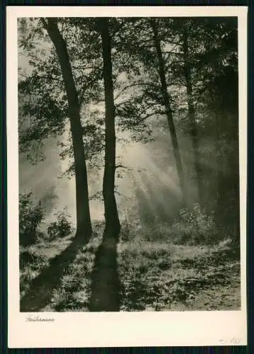 7x Foto AK - Kunstverlagsanstalt Bruno Hansmann Kassel - Ansichtskarten Natur
