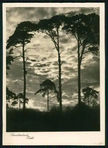 7x Foto AK - Kunstverlagsanstalt Bruno Hansmann Kassel - Ansichtskarten Natur