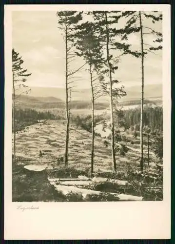 7x Foto AK - Kunstverlagsanstalt Bruno Hansmann Kassel - Ansichtskarten Natur