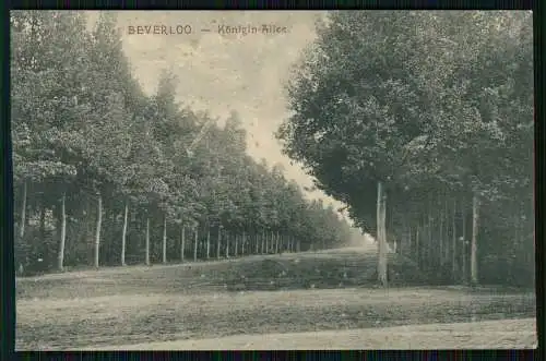 4x AK 1. WK - Beverloo Beverlo Beringen Flandern Limburg - Kavallerie-Lager u.a.