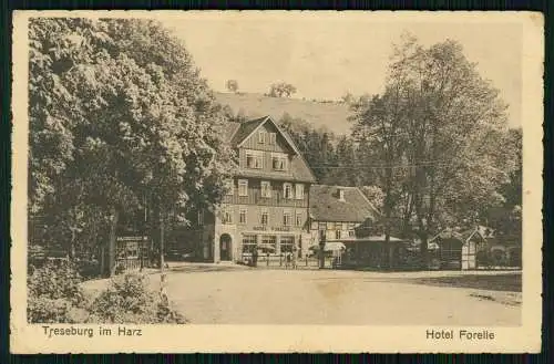 AK Treseburg Thale im Harz - Hotel Forelle - 1925 gelaufen