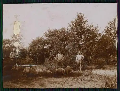 7x Foto AK 1. WK Kriegseinatz Westfront Belgien Flandern Überschwemmung Kanal ..