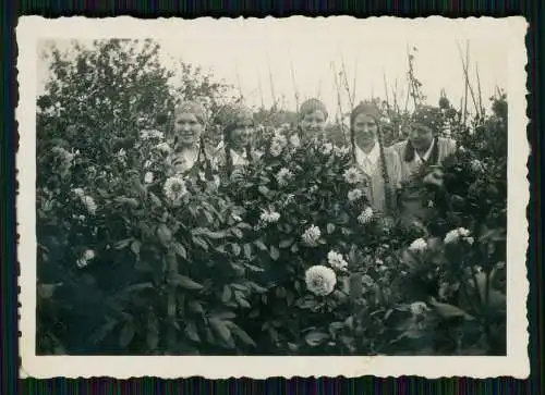 14x Foto - Gütersloh Schützengesellschaft Schützenfest diverse Ansichten ab 1930