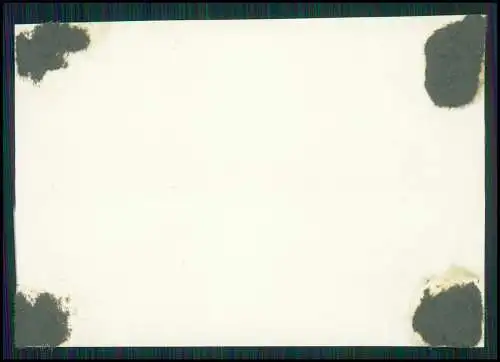 4x Foto Motrich Cumlosen Lenzen-Elbtalaue im Lr. Prignitz in Brandenburg 1933