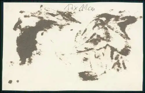 Foto 17x11cm Ahlbeck Heringsdorf auf Usedom Blick von der Bismarckwarte 1939