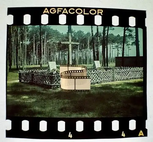 Orig. Farbdia Agfacolor - Ostfront Gräber Kreuze Wald Russland