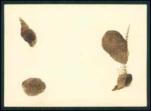 4x Foto Wehrmacht Bildstelle - Antwerpen  Anvers - Hafenstadt Belgien Flandern