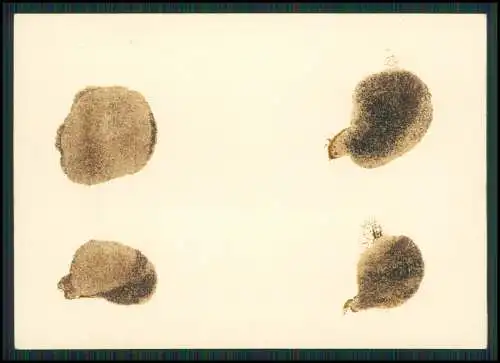 4x Foto Wehrmacht Bildstelle - Antwerpen  Anvers - Hafenstadt Belgien Flandern