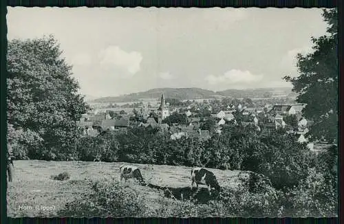 AK Horn Bad Meinberg Blick auf den Ort mit Kirche b. Detmold Lippe- Cekade Karte
