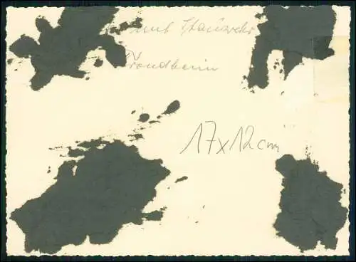 Foto Wehrmacht - 17x12cm und kleiner - Stauweiher Wasserfall Trondheim Norwegen