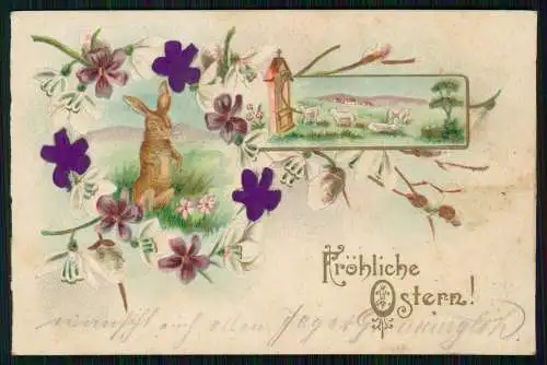 AK Präge Litho - Ostern Osterhase Lamm Lämmer Blumen Veilchen - 1903 gelaufen