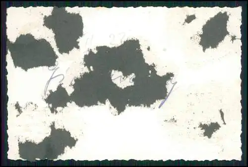 6x Foto- Soldaten Wehrmacht in Frankreich - Vormarsch Kriegszerstörung - 1940-41