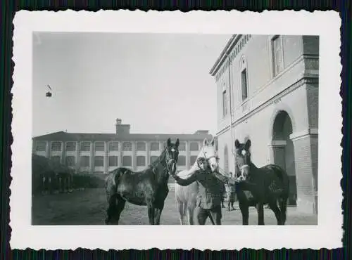 6x Foto - Soldaten Wehrmacht - Stabsarzt mit Pferde - 1944 - Rückseite Info