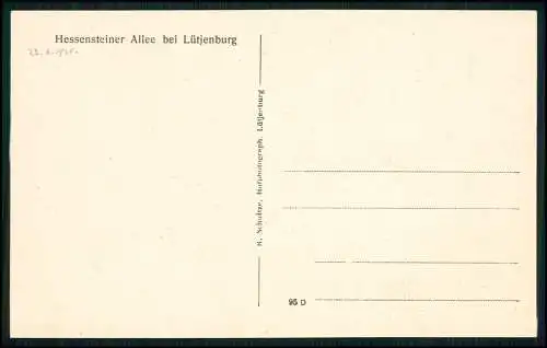 AK - Hessensteiner Allee bei Lütjenburg in Schleswig Holstein - um 1920