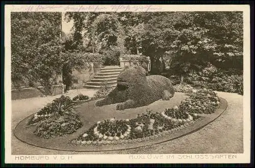 AK Bad Homburg V.D.H. - Buxlöwen im Schlossgarten - 1916 Feldpost Stengel Karte