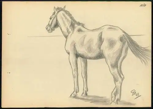 2x Kriegs-Zeichnung 30x21cm - Chris Porschen sign. - Pferde Polen Russland 1943