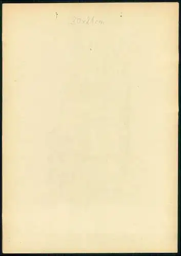 2x Kriegs-Zeichnung 30x21cm - Chris Porschen sign. - Pferde Polen Russland 1943