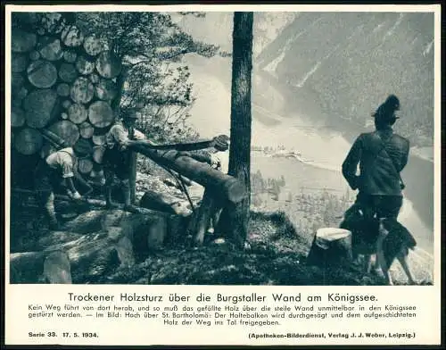 Apotheken-Bilderdienst 24x18 cm -Holzsturz ü. Burgstaller Wand am Königssee 1934
