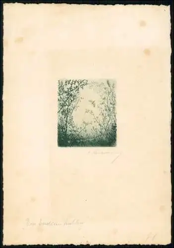 Radierung gesamt 27x19 cm - Passepartout Präge 1930 - Motiv Schmetterling sign.