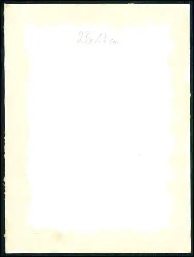 2x Foto 23x17 cm - Portrait junge hübsche Dame - um 1930