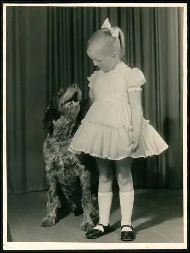 altes Foto 24x18 cm - Kleines Mädchen mit großen Hund - Atelier Fotostudio