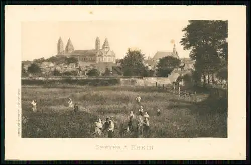 AK - Speyer am Rhein - spielende Kinder auf einer Wiese - Hintergrund Dom 1900