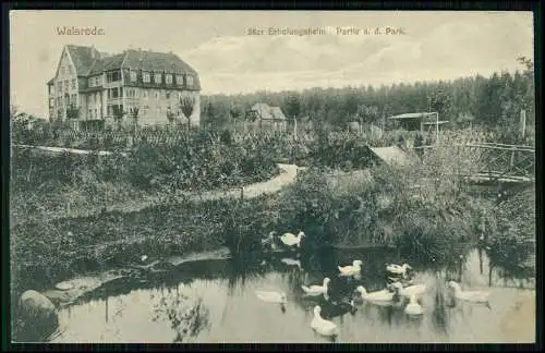 AK - Walsrode im Heidekreis - Erholungsheim Park Teich und Enten - 1915 gelaufen