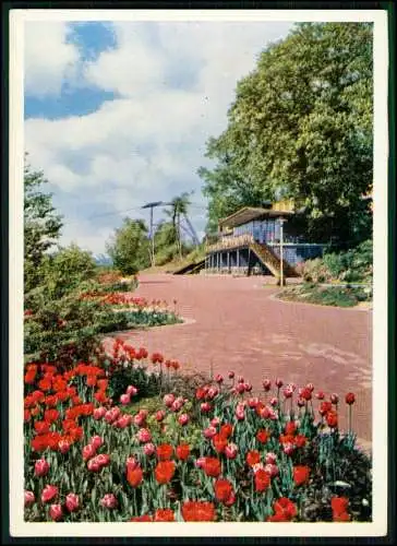 4x AK - Bundesgartenschau Kassel Hessen - Mai - Oktober 1955 - diverse Ansichten