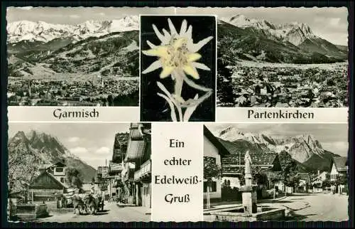 Foto AK - Echt Edelweiß verschweißt - Gruß aus Garmisch Partenkirchen Mittenwald