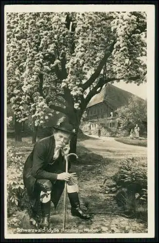 7x alte AK - Todtnau Belchenhaus Feldbergturm und andere Schwarzwald - vor 1945