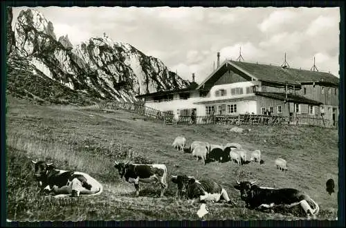 Foto AK- Aschau im Chiemgau - Berggasthaus Steinling - Alpengasthof Steinlingalm