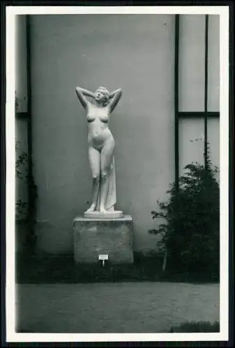 8x Foto 14x9cm - Dresden Sachsen - Weibliche Akt Figuren im Park - um 1940