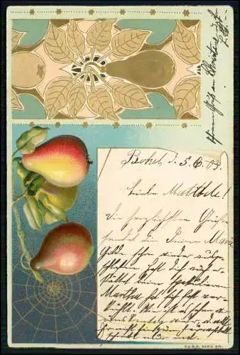 Künstler AK - Präge Litho Birnen Obst am Baum Spinnennetz - 1903 Bokel gelaufen