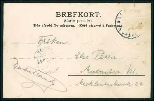 AK Litho Göteborg Goeteborg Schweden, Fiskhallen Fiskhamnen 1903 gelaufen