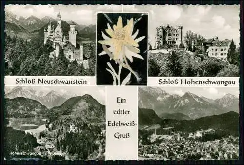 Foto AK Schlosses Neuschwanstein und Hohenschwangau Edelweiß-Blume eingeschweißt