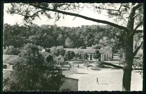 Echt Foto AK - Longeville sur Mer Vendée Vendée Aérium-Ecole de Plein l'Alouette